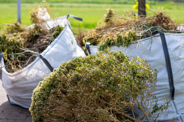 Best Office Junk Removal  in Rexburg, ID